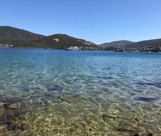 Torba Strand
